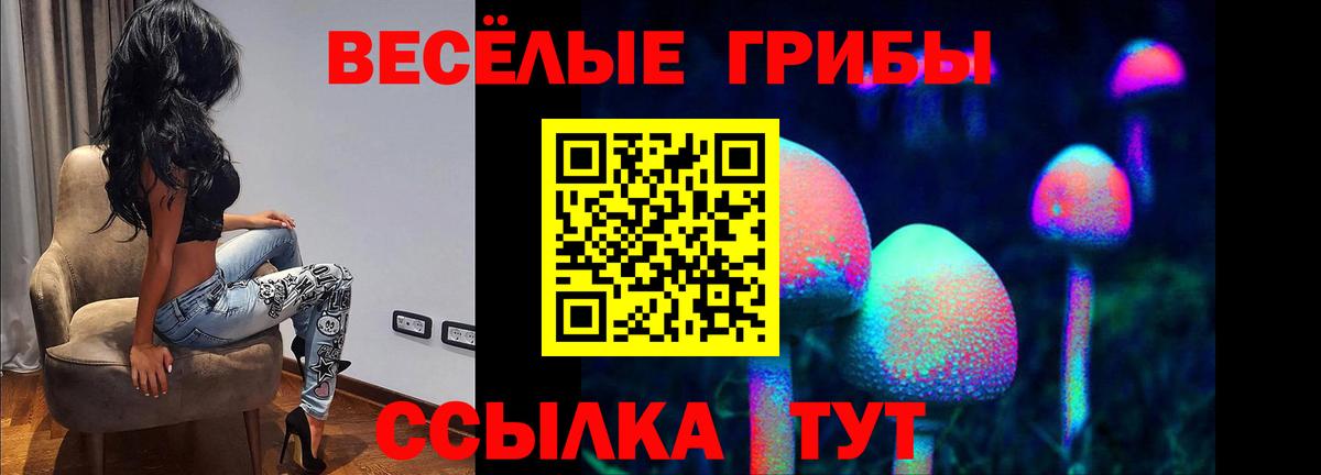 Прохладный  Псилоцибиновые грибы GOLDEN TEACHER  Вход с VPN 